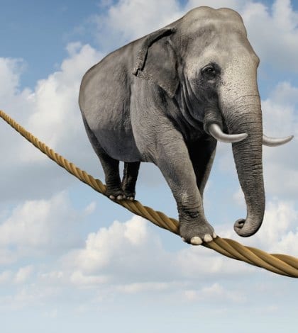 Managing risk and big business challenges and uncertainty with a large elephant walking on a dangerous rope high in the sky as a symbol of balance and overcoming fear for goal success.