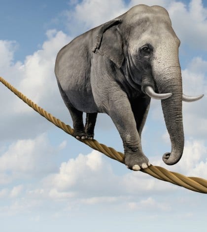 iStock_000022809814 ELEPHANT TIGHT ROPE 420 Managing risk and big business challenges and uncertainty with a large elephant walking on a dangerous rope high in the sky as a symbol of balance and overcoming fear for goal success.