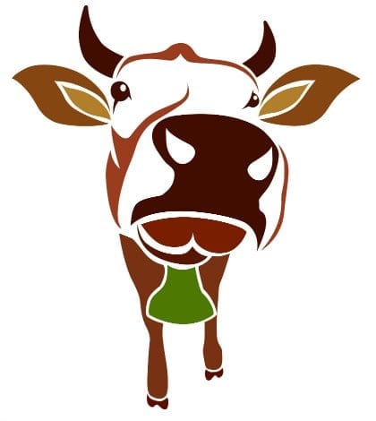 Brown cow on a white background - vector