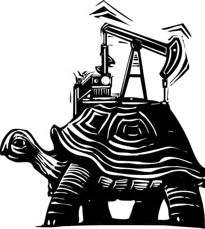 Turtle Drill 420 000029229434 Turtle Drill 420 000029229434