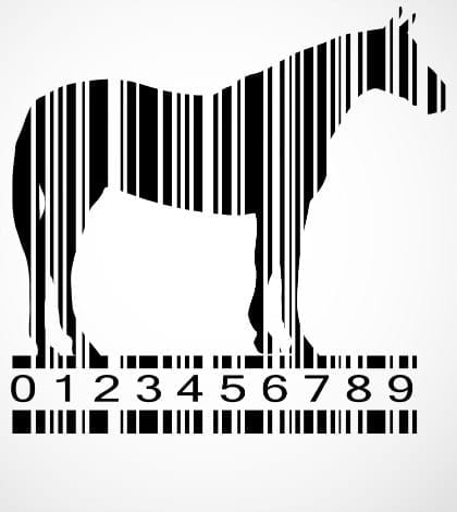 Barcode horse image vector illustration