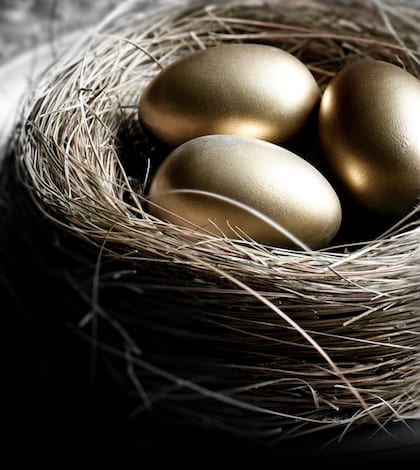 Creatively lit bird nest with gold eggs, shot in natural light. Concept image for pension investments, finance, savings or retirement planning. Accommodation for copy space.