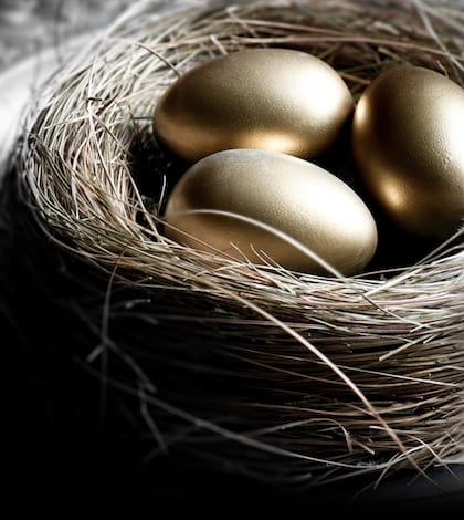 Pension Nest Creatively lit bird nest with gold eggs, shot in natural light. Concept image for pension investments, finance, savings or retirement planning. Accommodation for copy space.