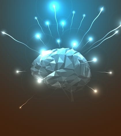 Side View of Abstract Human Head with a Brain. Side View of Abstract Human Brain. Stock Vector Illustration. Abstract Triangle Human Brain. Abstract Concept of Human Brain.