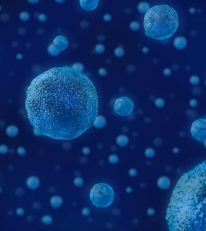 human-cell-micro-organism-82691171-420 human-cell-micro-organism-82691171-420