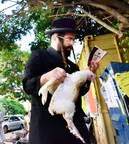ASHDOD - SEPTEMBER 15 :An ultra orthodox child watch his  father waves a chicken over himself during the "Kaparot" ceremony held on September 15 2010 in Ashdod Israel.