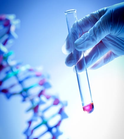 Scientist hand holding genetic pink liquid sample in test tube vial with image of DNA structure model in background, for human genome project or other biochemistry and scientific research, experiments, discovery, and testing concepts. Latex protective glove suggests clean room or sterilized chemical laboratory. Vertical format with blue light tint.