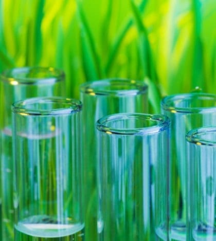Many glass test tubes with liquid and green grass on background SUCF2|||$|0N|000000000000000000000000000000000000000000|||agriculture$Agriculture^$agronomy$agronomy^$analysis$Scrutiny^_$analyze$Analyzing^Looking$biochemistry$Biochemistry^Biology$biological$Biology^Science$biology$Biology^Science$biotechnology$Biotechnology^Biology$clean$Clean^Good Condition__$concept$Concepts^Concepts & Topics_$development$_$drop$Drop^Liquid$eco$Environment^$ecology$_$engineering$_$environment$Nature^__$equipment$Equipment^Man Made$experiment$Scientific Experiment^Event$fresh$Freshness^$genetic$DNA^Molecule$glass$Glass^Material_$grass$Grass^Grass Family$green$Green^Colors__$grow$Growth^$growth$Growth^$lab$Laboratory^Place of Research_$laboratory$Laboratory^Place of Research$leaf$Leaf^Plant Part$life$New Life^Beginnings__$medical$_$medicine$Herbal Medicine^Alternative Medicine__$microbiology$Microbiology^Biology$nature$Nature^$nobody$No People^Image$organic$Organic^Food State$pharmaceutical$_$plant$Plant^Living Organism_$research$Research^$science$Science^Science and Technology$scientific$Science^Science and Technology$seed$Seed^Plant Stage$study$Studying^Moving Activity_$technology$Technology^Science and Technology$test$__$test tube$Test Tube^Laboratory Glassware$test-tube$Test Tube^Laboratory Glassware$tube$Tubing^Laboratory Equipment__$water$Water^Natural Phenomenon__$bio$_|$$0$0$0||000000000000000000000000000000000000000000|