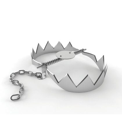 Qureshi_web Qureshi_web