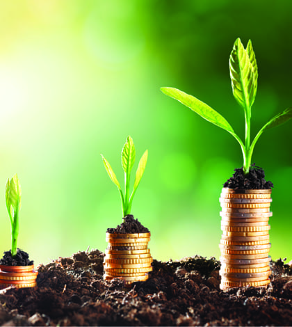 Growing Money - Chart In Rise plants on piles of euro coins