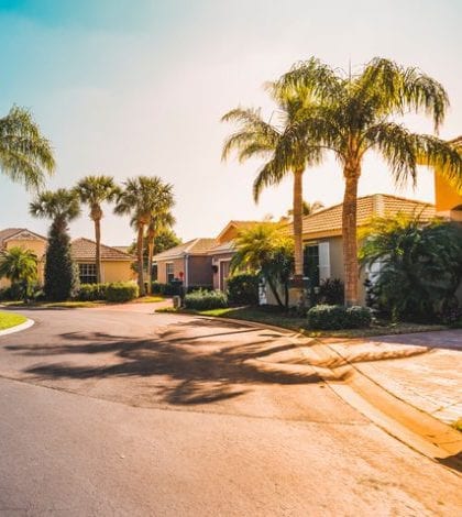 Gated community houses with palms, South Florida Typical gated community houses with palms, South Florida. Light effect applied