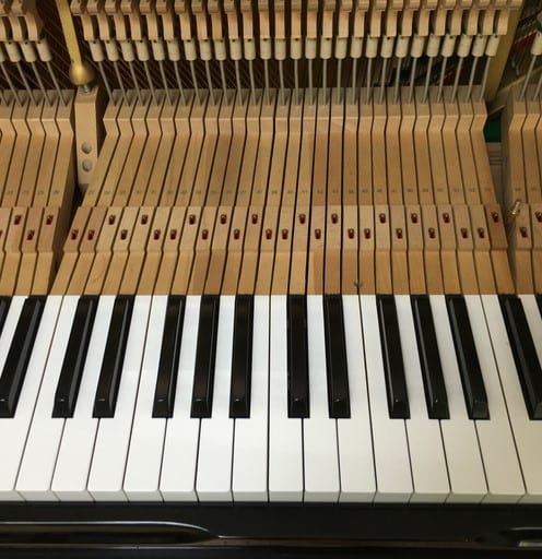Inside of the piano. at tuning.