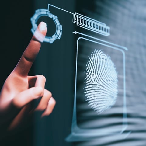 Internet biometrics privacy monitor