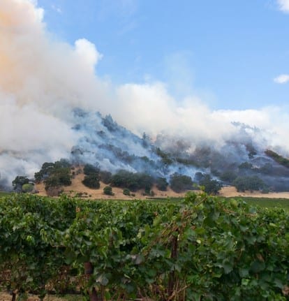 A northern California vineyard rests below a burning hill as firefighters struggle to contain the fire.