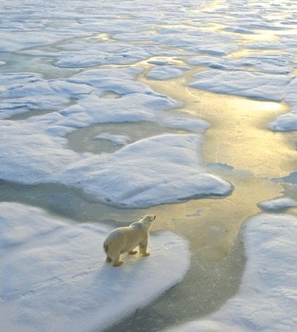Stranded crisis conundrum environmental problem challenge Stranded crisis conundrum environmental problem challenge