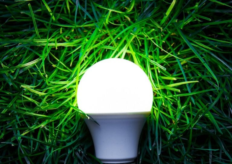 led-light-bulb-on-grass-picture-id513733786