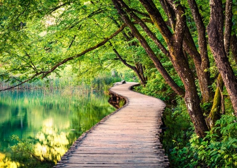 picturesque-morning-in-plitvice-national-park-colorful-spring-scene-picture-id1093110112