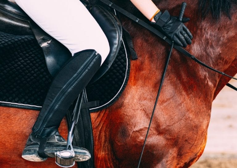 woman-in-white-riding-pants-and-black-riding-boots-sitting-on-a-brown-picture-id1226201831 woman-in-white-riding-pants-and-black-riding-boots-sitting-on-a-brown-picture-id1226201831