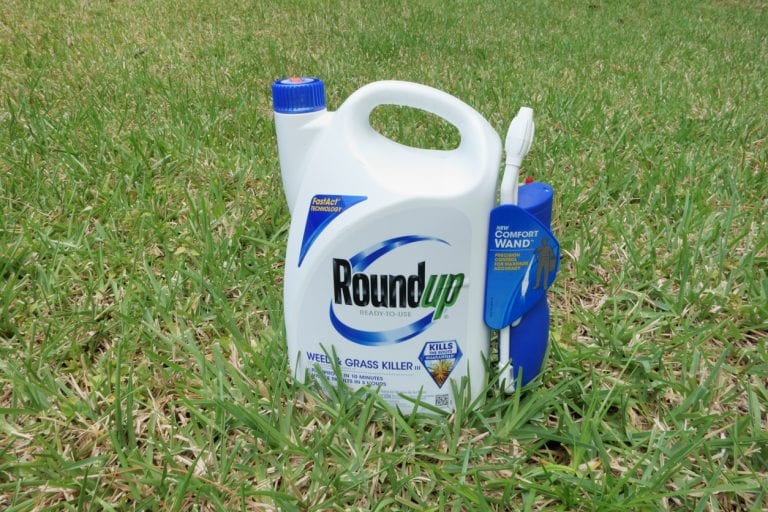 West Palm Beach, USA - April 29, 2013: A container of Roundup Weed and Grass Killer on a grass lawn. Roundup is a popular gardening and landscaping product that is manufactured by the Scotts Company LLC.