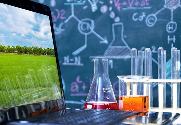 Genetic improvement Scientist checking sample of wheat Genetic improvement Scientist checking sample of wheat,doing about change at research,Beaker with chemicals used in experiments,Wheat picture in a laptop,The backdrop is a chemical formulas writing.