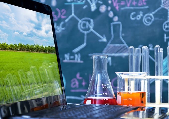 Genetic improvement Scientist checking sample of wheat,doing about change at research,Beaker with chemicals used in experiments,Wheat picture in a laptop,The backdrop is a chemical formulas writing.