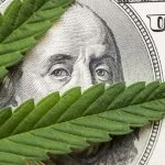 Cannabis leaves in front of Ben Frnaklin's face on a $100 bill.