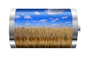 Battery with image of a wheat field superimposed over it.