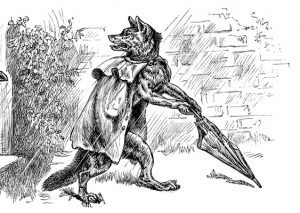 Wolf with cape standing on its hind legs and look back over its shoulder, alarmed.
