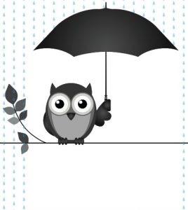 Cartoon own on a limb, hold an umbrella over is head.