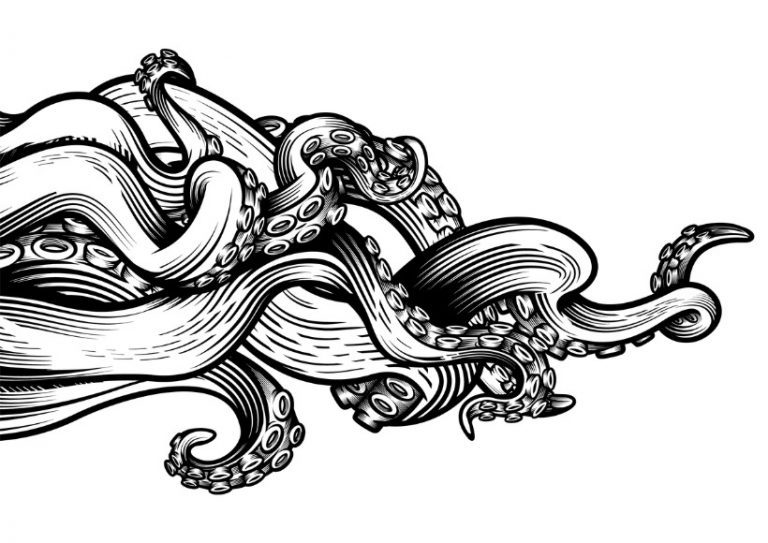 tentacles-of-an-octopus-vector-id1333230588