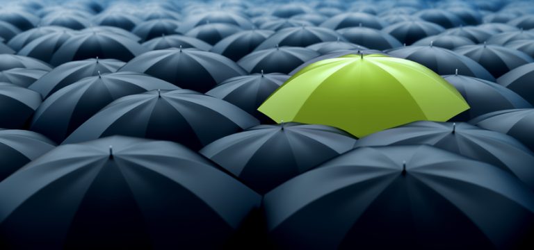 Green umbrella One green umbrella over a sea of grey ones.