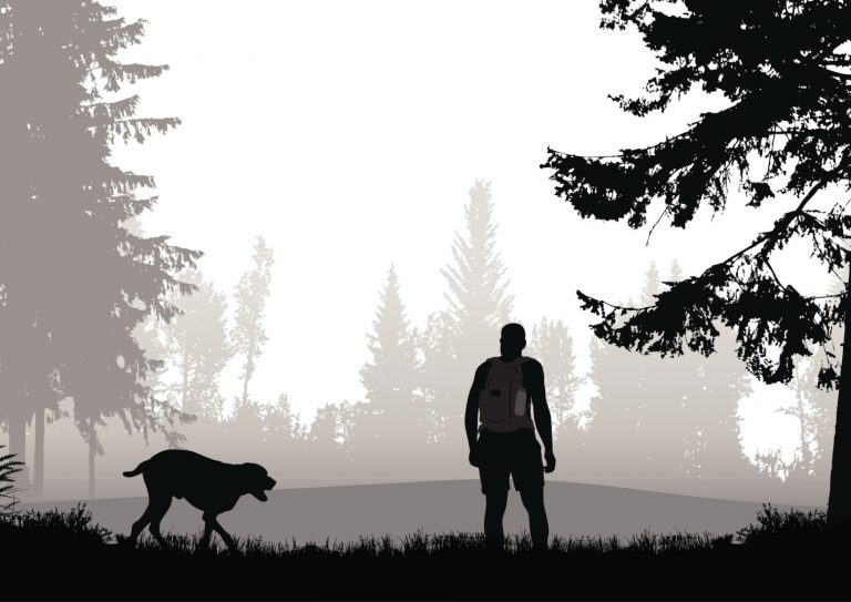 hiker-with-his-dog-off-leash-vector-id482953000 hiker-with-his-dog-off-leash-vector-id482953000
