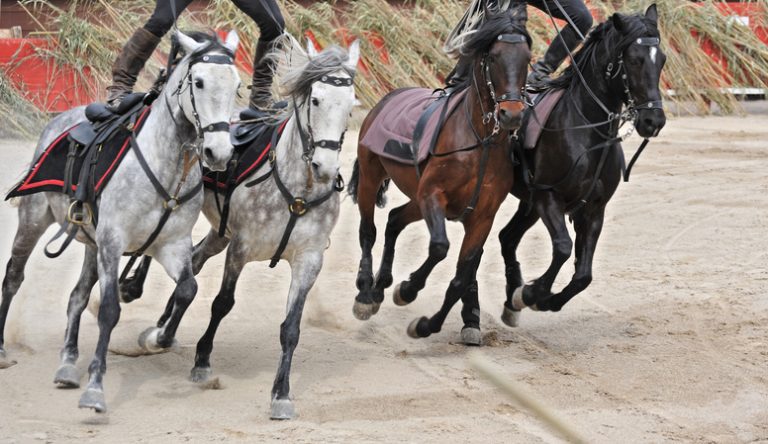 equestrian show Four galloping horses, with two trick riders, each standing with one leg on the saddle of two horses.