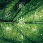 U.S. Multinationals Need to Get Ready for the EU’s New ESG Disclosure Requirements